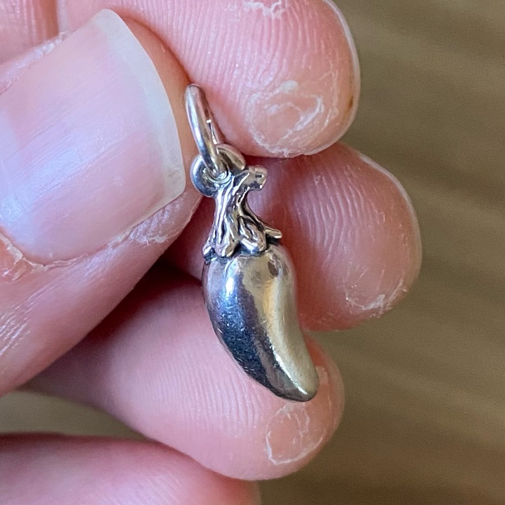 🌻James Avery Rare Retired jalapeño Sterling Silver Charm